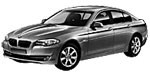 BMW F10 P06D9 Fault Code
